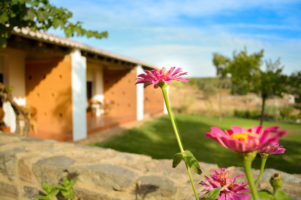 Melrinitas Turismo Rural Hotel Serpa Exterior photo